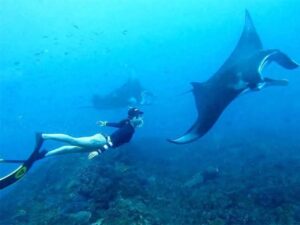 Snorkeling Nusa Penida
